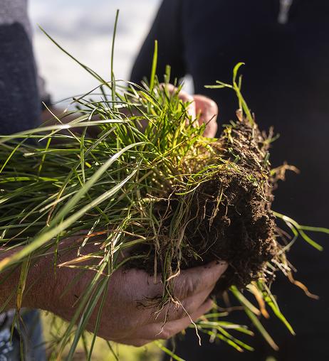 Soil Health