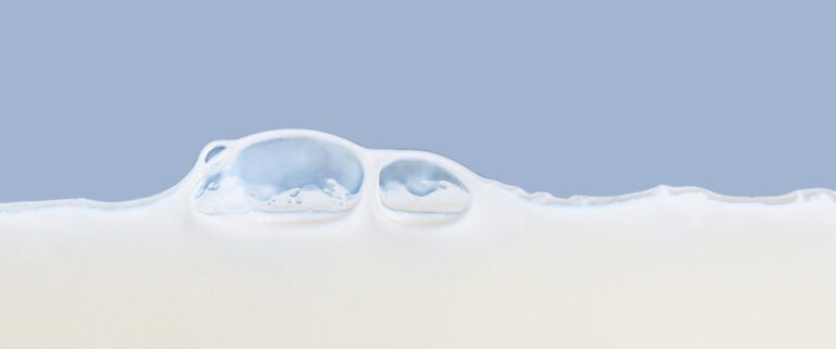Dairy Protein Hydrolysates