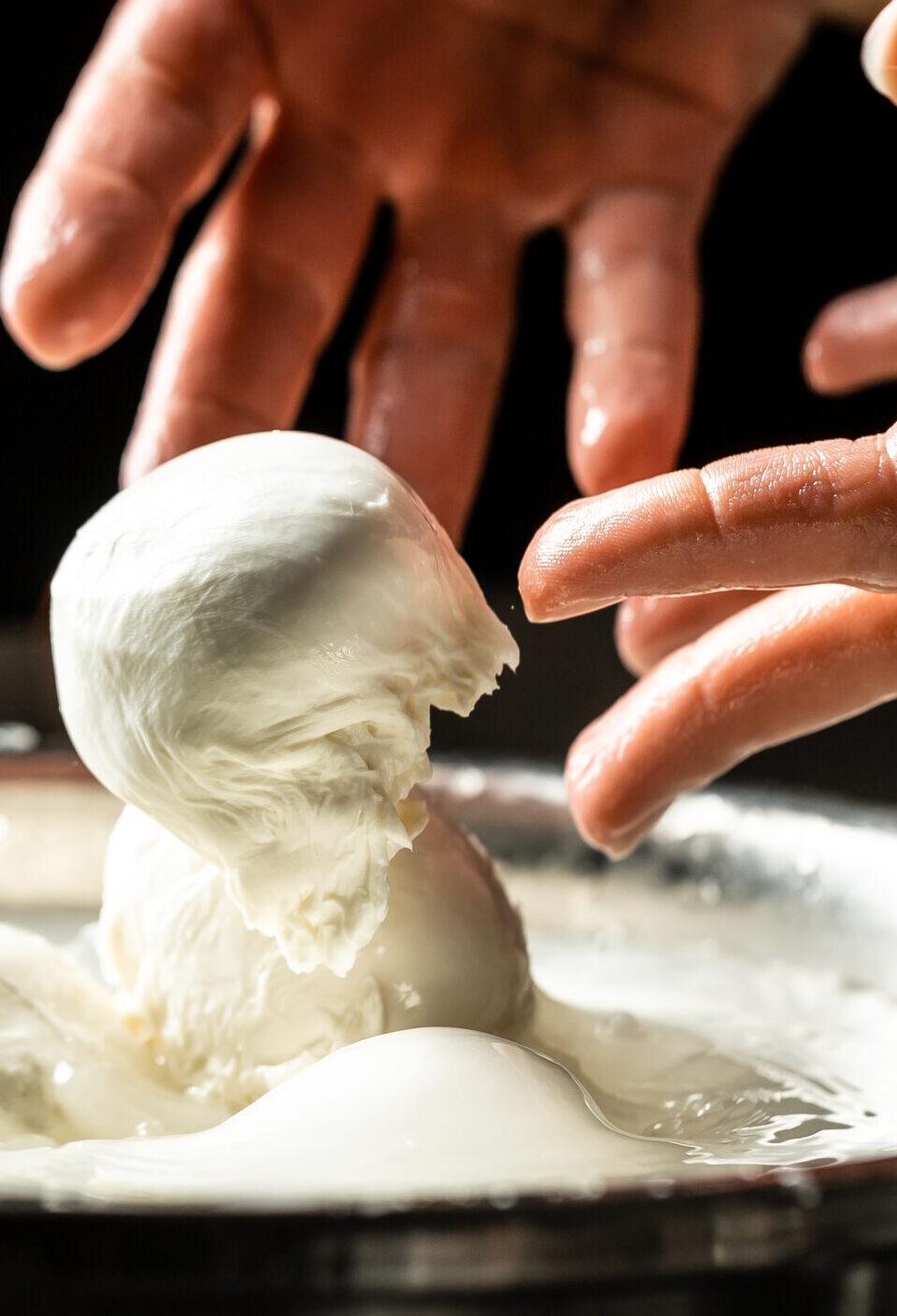 The homemade cheese maker produces handmade mozzarella with fresh bio milk. process of making mozzarella. Italian hard cheese silano or caciocavallo in cheesemaker hands The homemade cheese maker produces handmade mozzarella with fresh bio milk. process of making mozzarella. Italian hard cheese silano or caciocavallo in cheesemaker hands