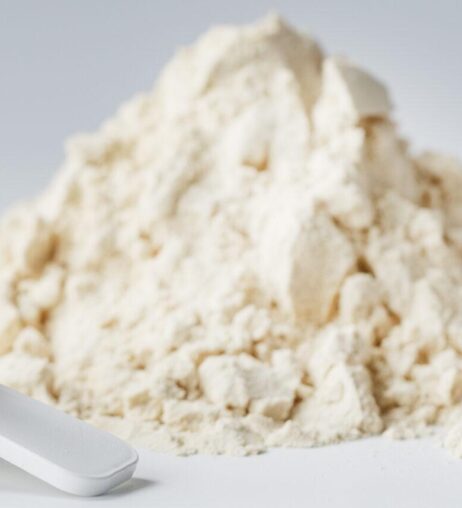 Demineralised Whey Powder
